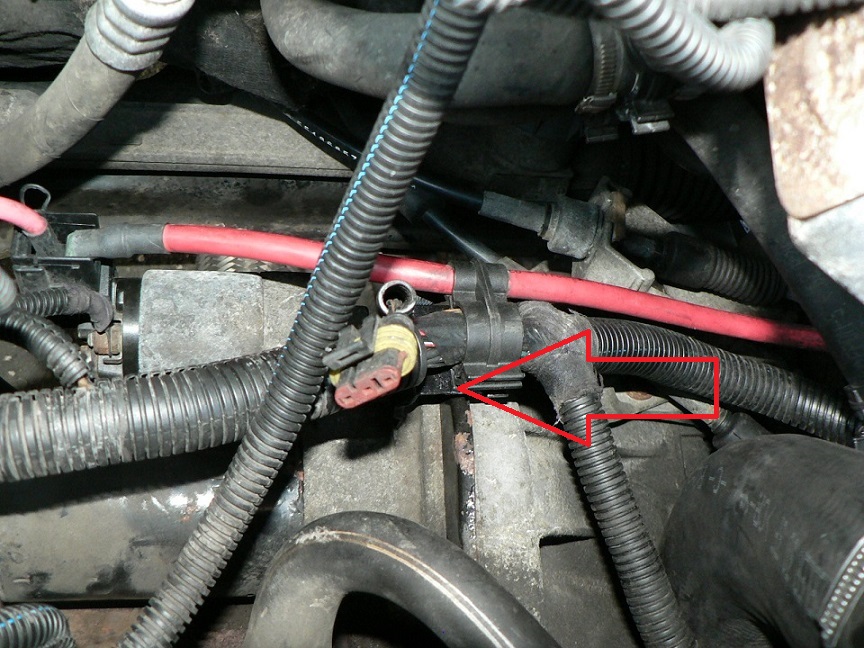 P1510149 – kopie.JPG