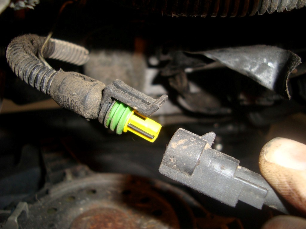 DSC05897 (Large) (Large) (Medium).JPG