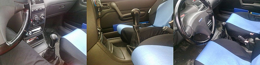 origo radicka v kozi