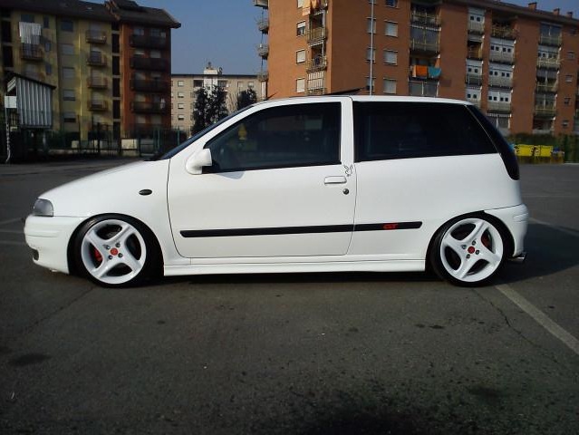 White punto.jpg